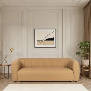 Sofa Cleaning
